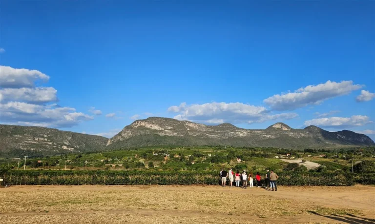 Bahia Pode Receber a Nova ‘Estrada das Vinícolas’ para Impulsionar o Turismo