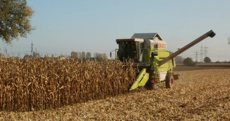 CMN Prorroga Regras Ambientais para Crédito Rural até 2026
