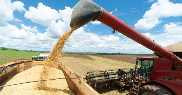 Desafios do Agronegócio até 2026: O Que Esperar do Governo Lula