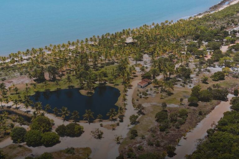 Empreendimento na Bahia é Lançado para a Copa Feminina de 2027: A Visão de Stefan Gast