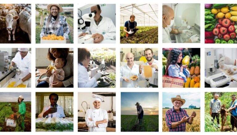 Reforço Orçamentário para a Embrapa: Um Marco na Transformação do Agronegócio Brasileiro