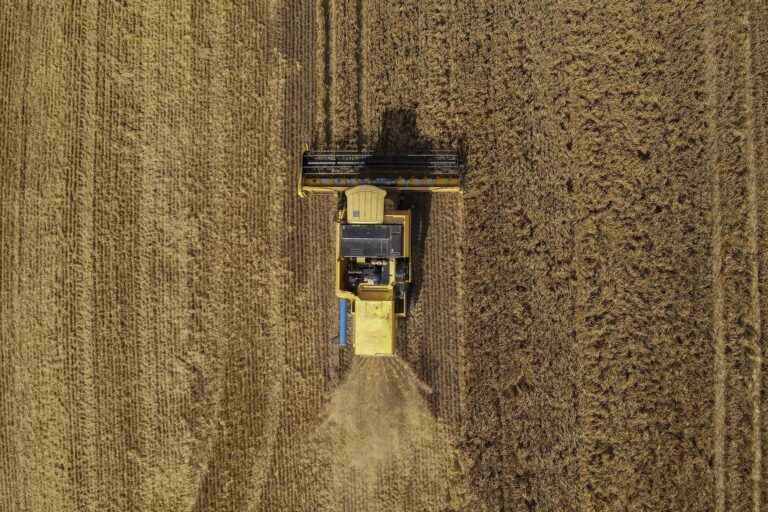 Safra em Alerta: Mudanças Impactantes no Agronegócio em Janeiro de 2025