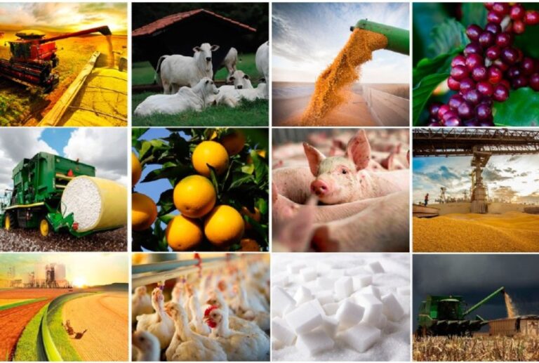 Verão 2025/26: Expectativas Positivas para o Agronegócio com Chuvas Regulares e Temperaturas Amenas