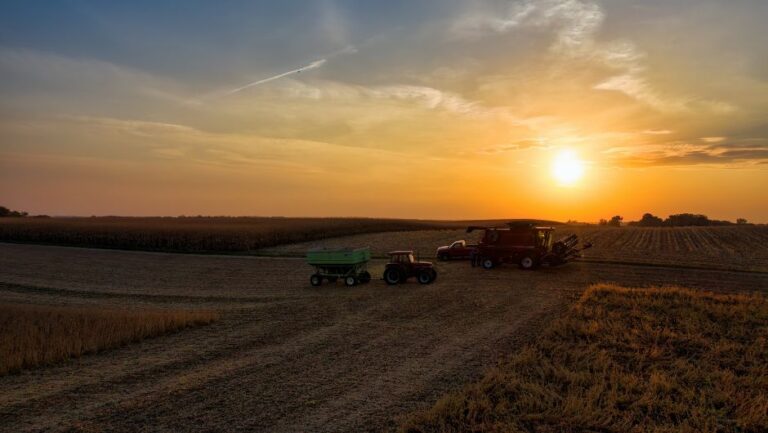 Verão Favorável: Expectativa de Chuvas Abundantes para o Agronegócio em 2025/26
