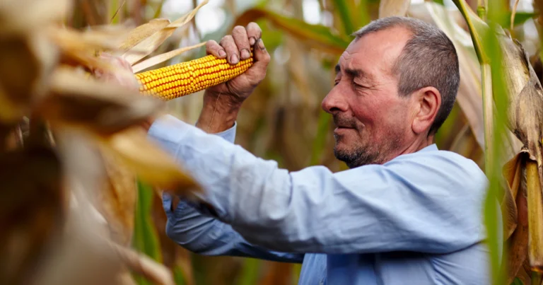 Biocombustível Social: Impulsionando a Agricultura Familiar na Bahia