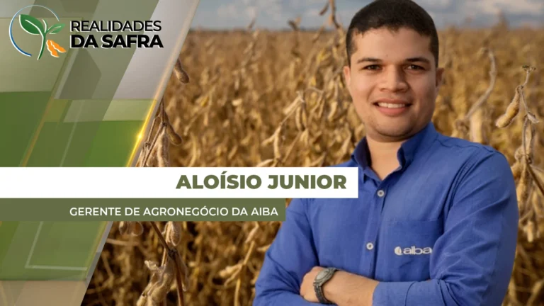 Colheita de Soja na Bahia: 1,7% Concluída Apesar das Chuvas Desfavoráveis Colheita de Soja na Bahia: 1,7% Concluída Apesar das Chuvas Desfavoráveis