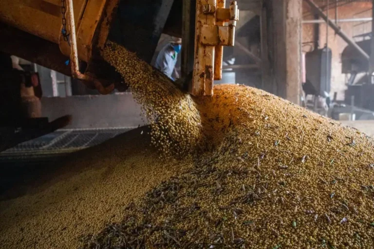 Economia da Bahia Cresce 2,6% em 2025, Superando o Brasil, Mas Sinaliza Desaceleração