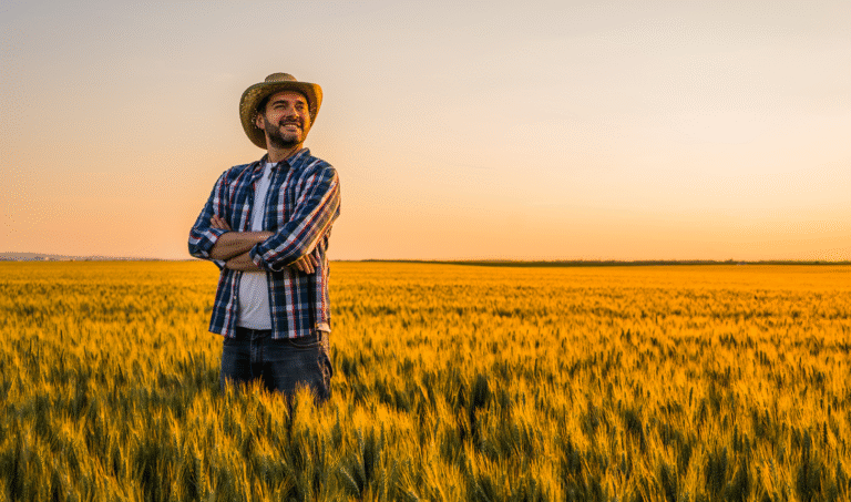 Estratégias Eficazes para Minimizar Riscos e Maximizar Lucros no Agronegócio