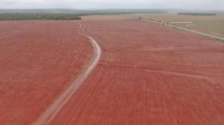 FCO Destina R$ 3,2 Bilhões a Mato Grosso do Sul: Agronegócio em Alta