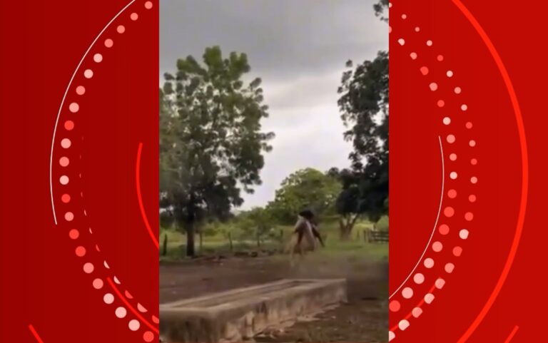 HOMEM ESCAPA DE RAIO NO INTERIOR DA BAHIA: VÍDEO IMPACTANTE