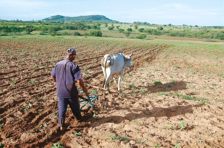 Inadimplência no Agronegócio do RN Atinge 12,8%, a Maior do Nordeste e 4ª do Brasil