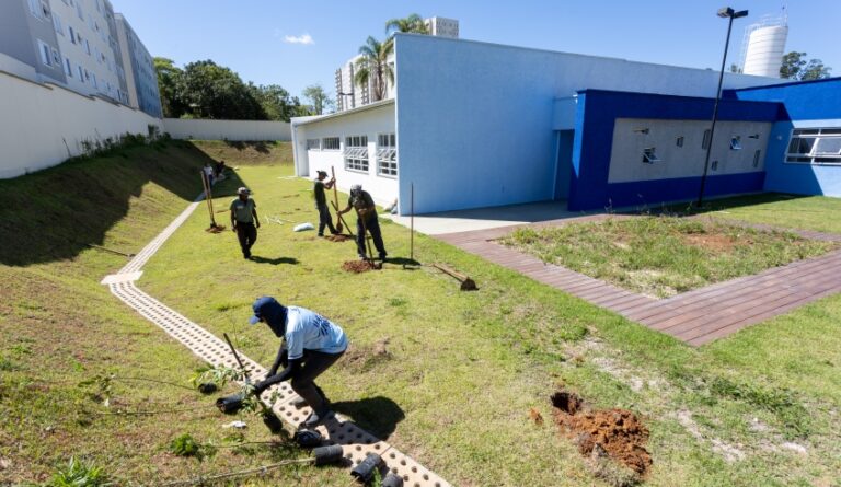 Projeto Brotos de Mogi Realiza Primeiro Plantio de 2026 em Escola do Botujuru