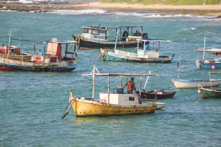Recadastramento do Programa Mais Pesca em Camaçari Começa em Fevereiro