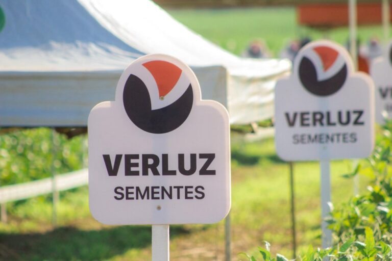 Sicredi Centro-Sul MS/BA Apresenta Palestra com Dr. Agro Marcos Fava no Dia de Campo em Bonito