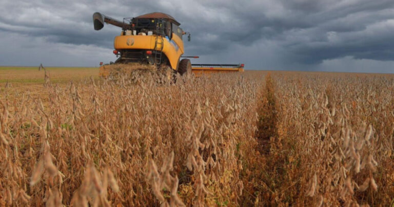 Bahia se Mantém entre os 10 Maiores Produtores de Grãos do Brasil em 2026