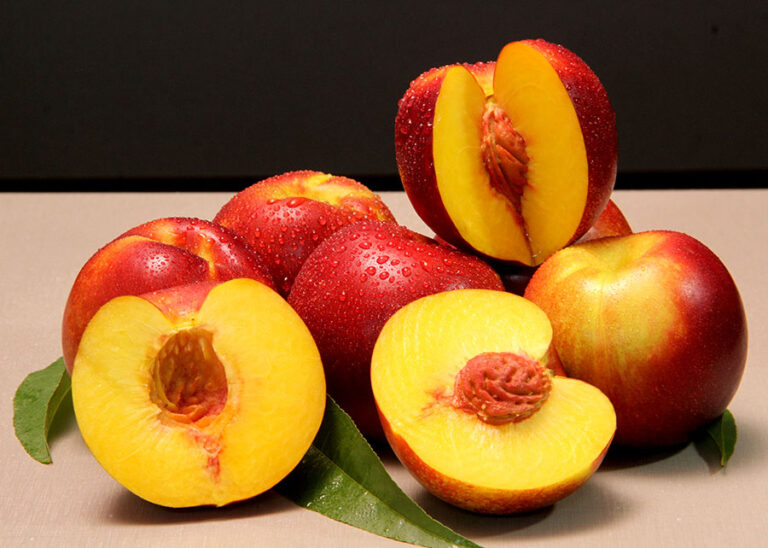 BRS Carina: A Nova Nectarina Brasileira que Promete Transformar o Agronegócio