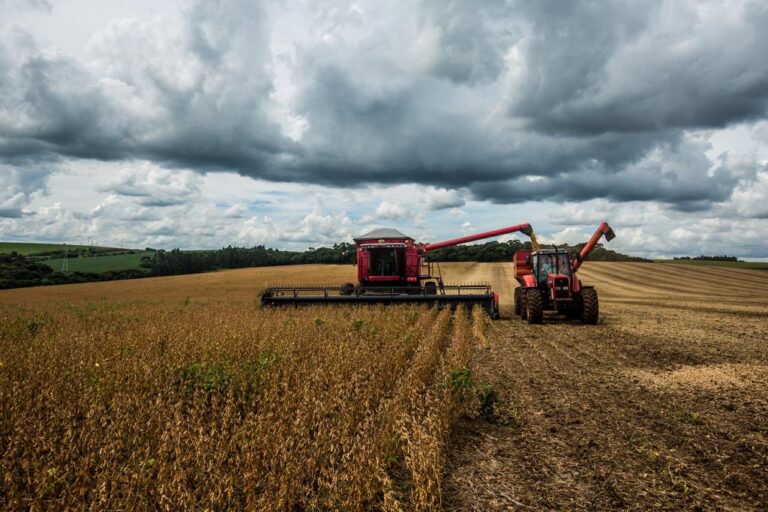 Crescimento de 2% no Agronegócio Garante Recorde de Empregos em 2025