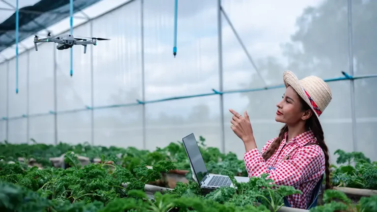 Desafios da Digitalização no Agronegócio Brasileiro: O Impacto da Conectividade