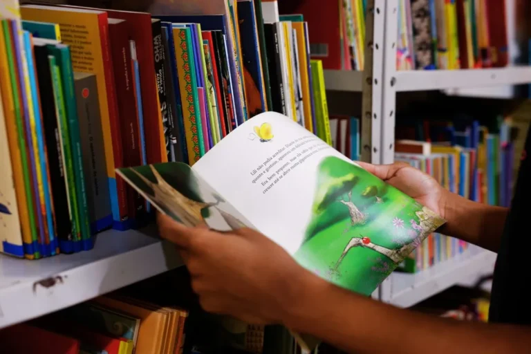 Entenda a Educação no Brasil: História, Sistema e Desafios