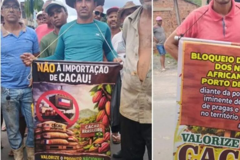 Governo Federal Suspende Importações de Cacau da Costa do Marfim