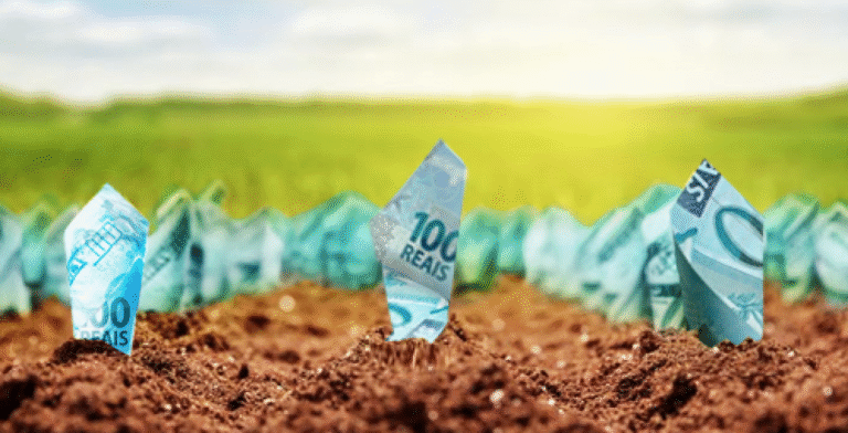 Impactos das Mudanças no Sistema Financeiro sobre o Crédito Rural e o Agronegócio