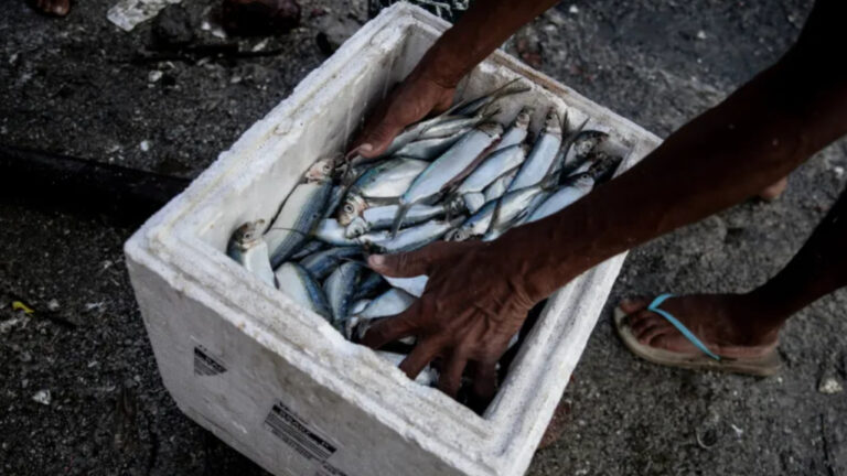 Nova Lei da Pesca Sustentável: Principais Aspectos e Benefícios