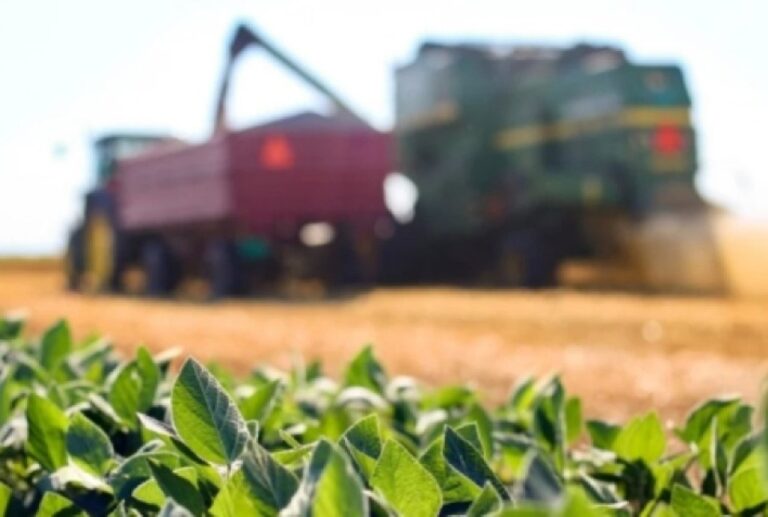 Reforma Tributária: Impactos na Competitividade de Bioinsumos e Fertilizantes no Brasil