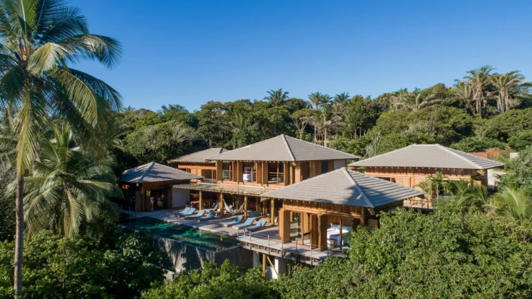 Safáris Noturnos e Luxo: Os Refúgios da Bahia que Encantam o Mundo