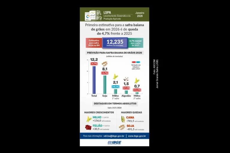 Safra de Grãos na Bahia Tem Expectativa de Queda de 4,7% em 2026, Indica IBGE