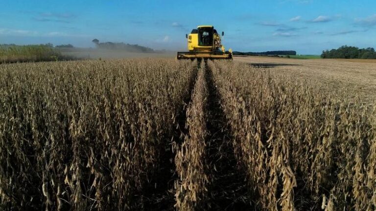 Agroconsult Reajusta Previsão da Safra de Soja no Brasil para 2025/26 Agroconsult Reajusta Previsão da Safra de Soja no Brasil para 2025/26