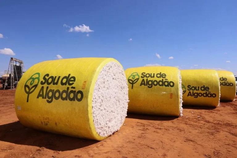 Agronegócio Baiano Representou 22,1% da Economia em 2025: Crescimento e Desafios