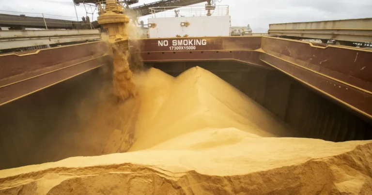 Agronegócio Brasileiro: A Dependência do Oriente Médio em Produtos Estratégicos