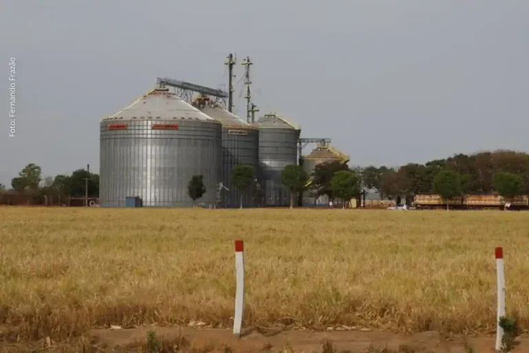 Brasil Cresce 2,3% em 2025 e Alcança R$ 12,7 Trilhões, 6º Maior Avanço Econômico do G20