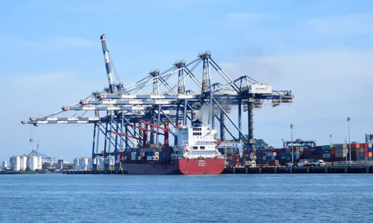 Brasil e Turquia Firmam Acordo para Nova Rota de Exportação Agropecuária Brasil e Turquia Firmam Acordo para Nova Rota de Exportação Agropecuária