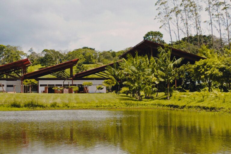 Cabrucarte: Evento Cultural Gratuito Une Arte e Gastronomia em Ilhéus