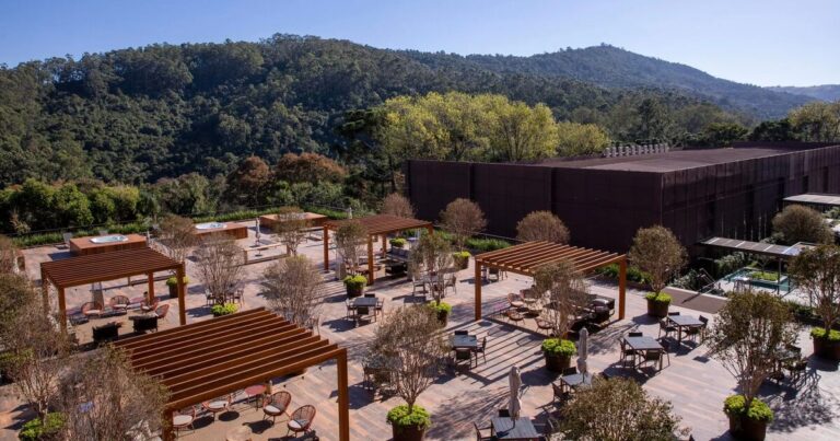 Cacau Show: O Grande Plano para Chegar a R$ 20 Bilhões em Vendas