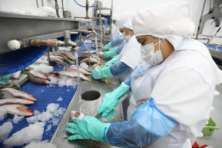 Ceará Registra Queda na Indústria: 3º Pior Desempenho do Brasil em Janeiro de 2026