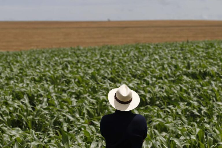 Como o Conflito Irã-Israel Impacta o Agronegócio Brasileiro?
