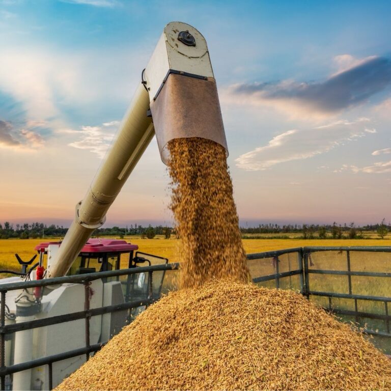 Conflito no Oriente Médio Impacta Preços do Diesel e Preocupa o Agronegócio Brasileiro