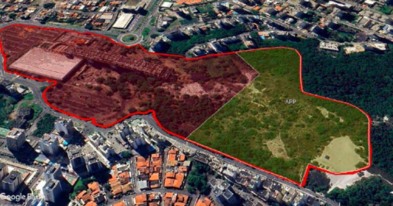 Críticas ao Leilão do Antigo Centro de Convenções da Bahia: Questões Ambientais e Polêmicas na Escol