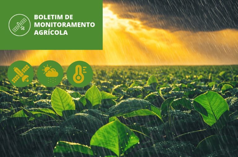 Desempenho das Lavouras no Brasil: Boas Condições em Meio a Desafios Climáticos