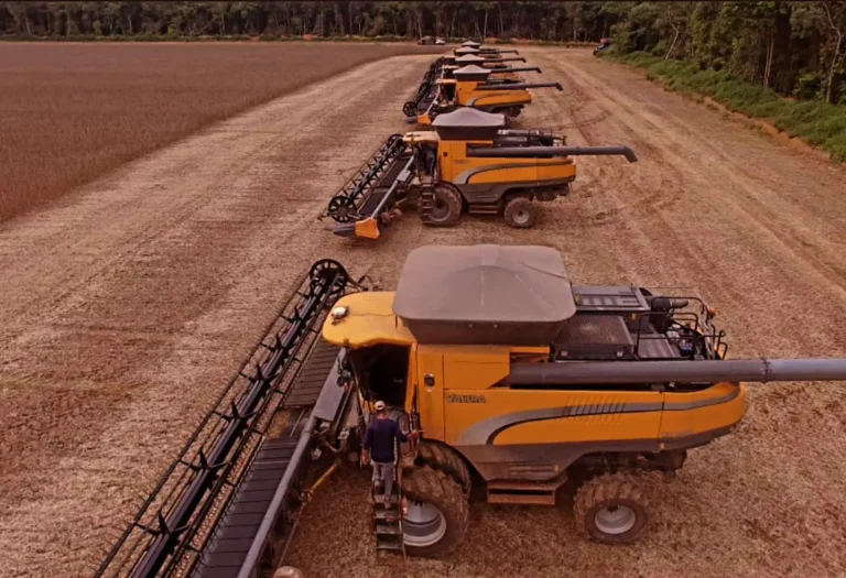 Exa Capital Lança Fundo de R$ 200 Milhões para Aquisição de Fazendas no Brasil