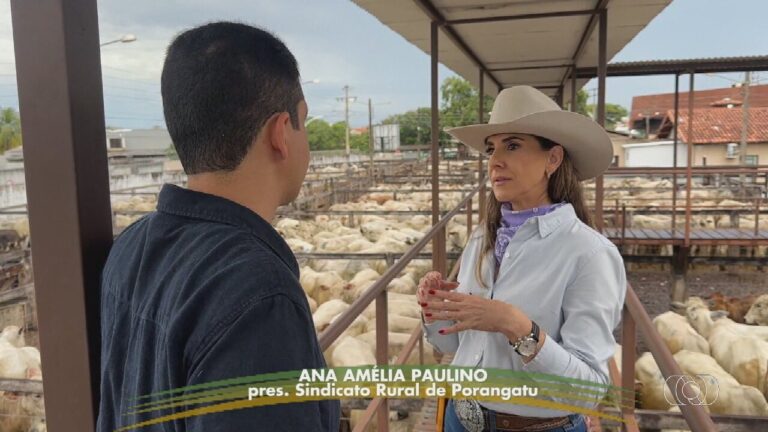 Expopec 2024: Tendências e Inovações na Pecuária de Corte em Porangatu