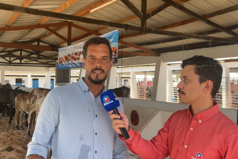 Exposição de Animais Destaca o Agronegócio na Sealba Alagoinhas