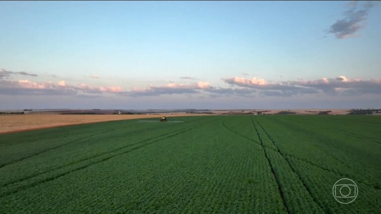 Guerra no Oriente Médio Eleva Preços de Fertilizantes e Preocupa Agronegócio Brasileiro Guerra no Oriente Médio Eleva Preços de Fertilizantes e Preocupa Agronegócio Brasileiro