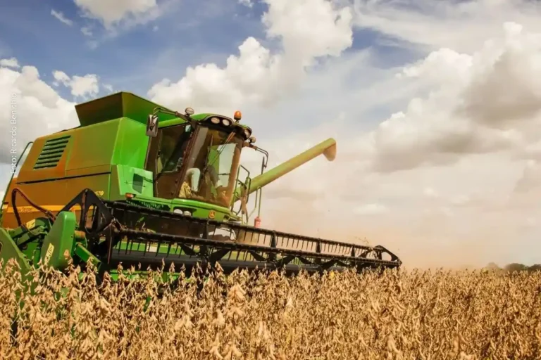 Investigação Comercial dos EUA Pode Impactar Agronegócio Brasileiro Investigação Comercial dos EUA Pode Impactar Agronegócio Brasileiro