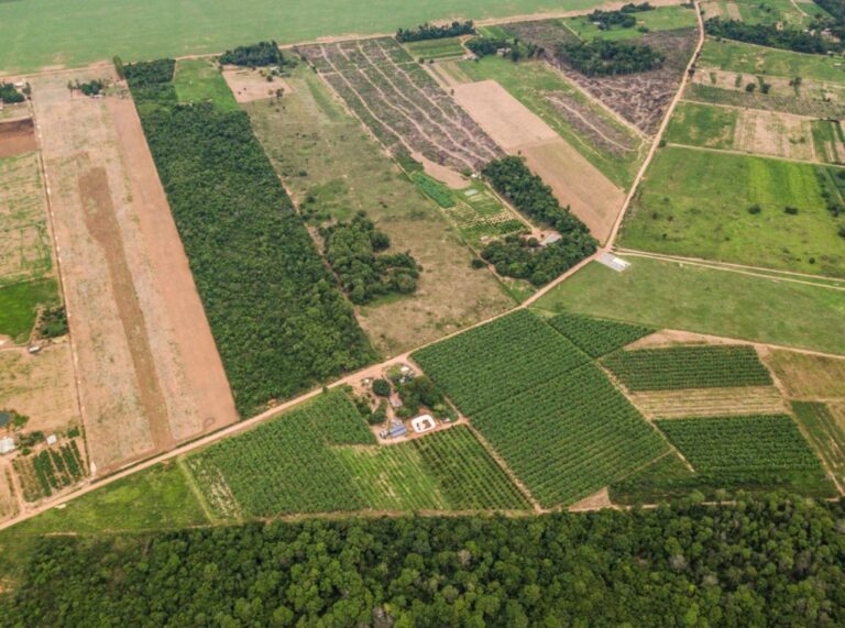 Mudanças Climáticas Elevam Interesses no Agronegócio Brasileiro: A Terra na Europa e o Brasil em Foc