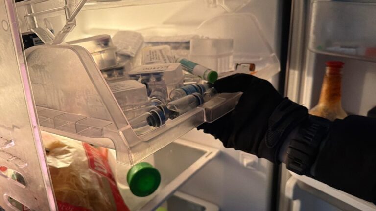 Operação na Bahia prende 12 suspeitos de comercializar canetas emagrecedoras