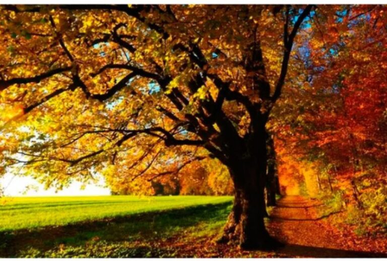 Outono de 2026: Umidade do Solo e Clima Favorável para Safras no Brasil