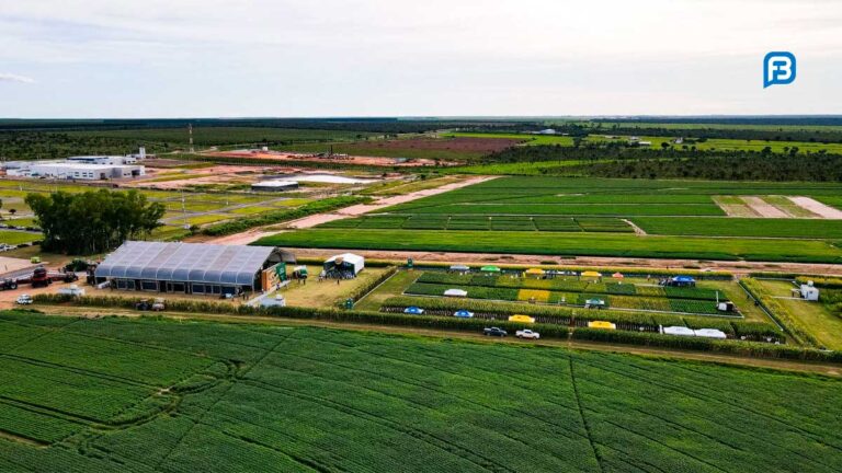Passarela da Soja 2026: Inovação e Sustentabilidade no Agronegócio